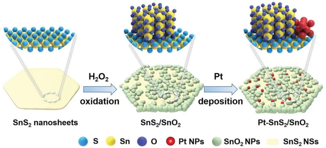 催化頂刊集錦：AFM、JACS、Adv. Sci.、ACS Nano、JMCA、CEJ等成果