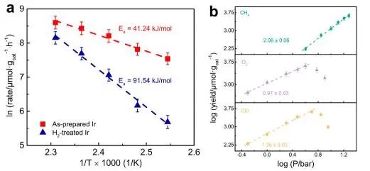 催化頂刊集錦：JACS、Angew.、AM、Nano Energy、ACS Catalysis、Small等成果