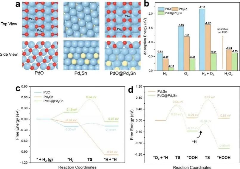6篇Nature/Science子刊、4篇AM、3篇EES、3篇AFM等，黃小青團隊2022年成果精選！