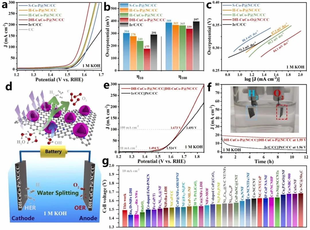 催化頂刊集錦：AFM、ACS Catalysis、Appl. Catal. B.、CEJ、Small、JMCA等成果