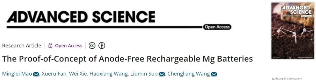 王成亮/毛明磊/索鎏敏Adv. Sci.：無負極可充鎂電池的概念驗證