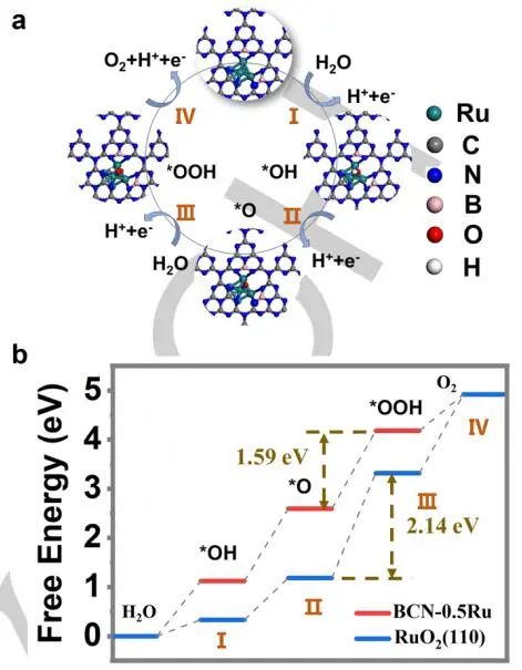 南科大?李輝等Angew：BCN-0.5Ru高效催化酸性OER