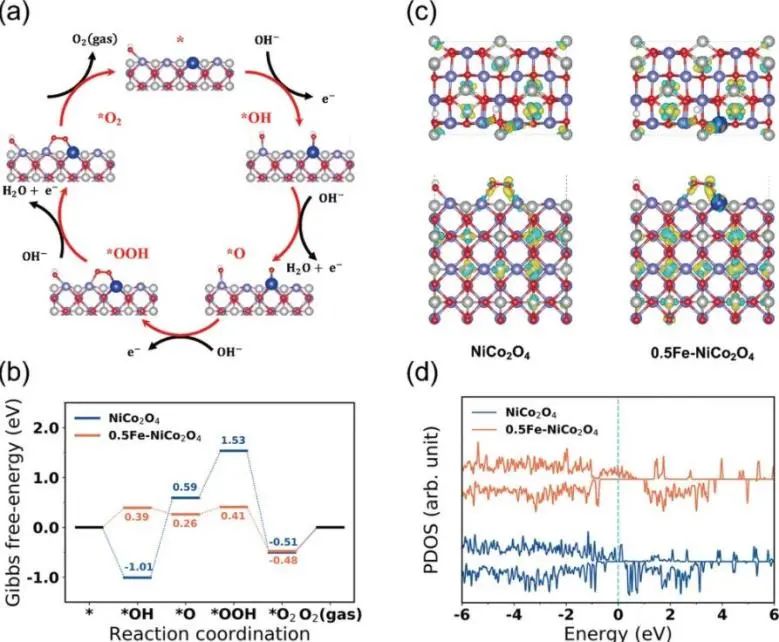 8篇催化頂刊：JACS、ML、JMCA、Small Methods、Small、Appl. Catal. B.等成果