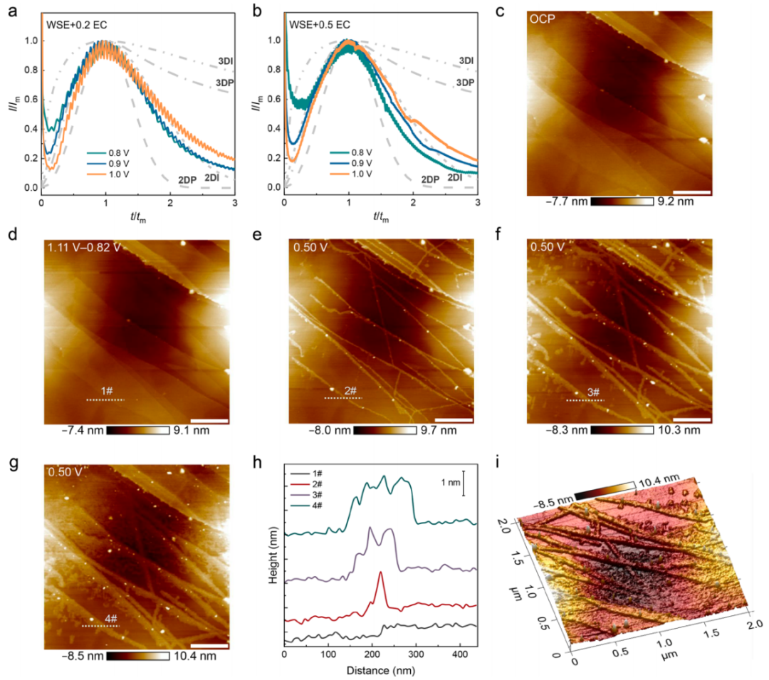 張強(qiáng)教授，最新JACS！
