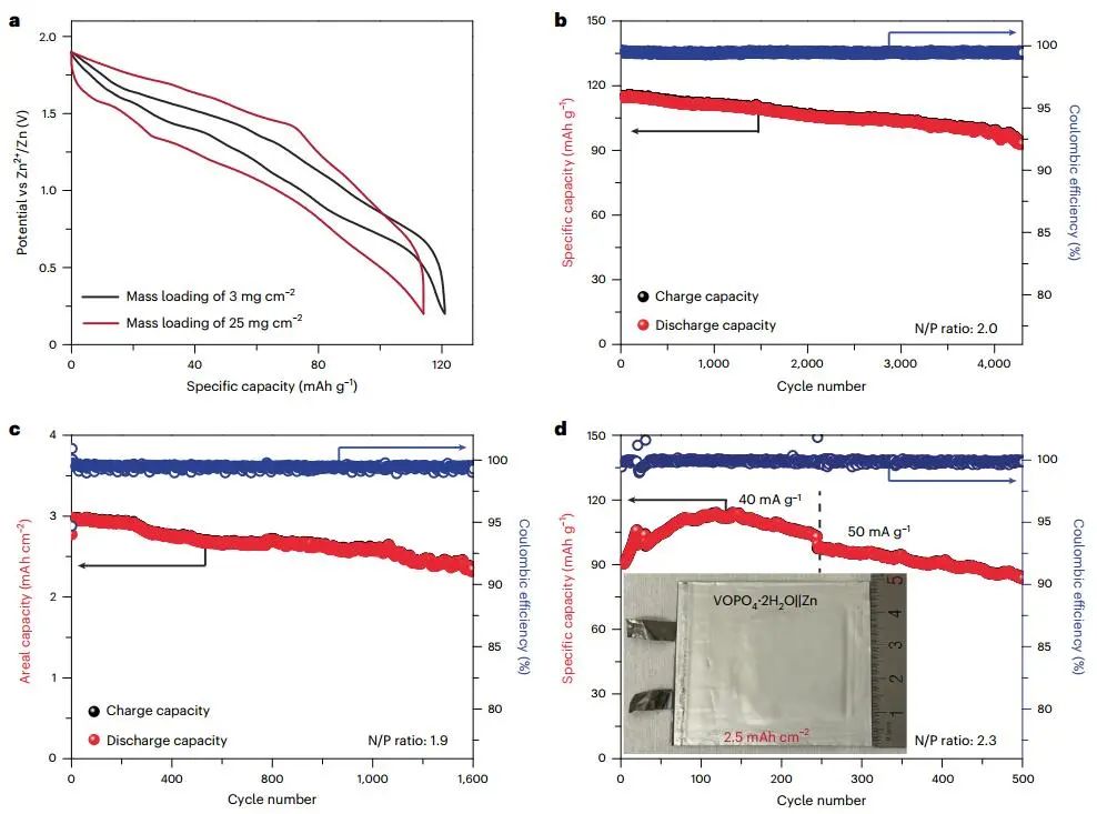 紀秀磊等Nature Sustainability：CE近100%！可充電水系ZMBs新突破