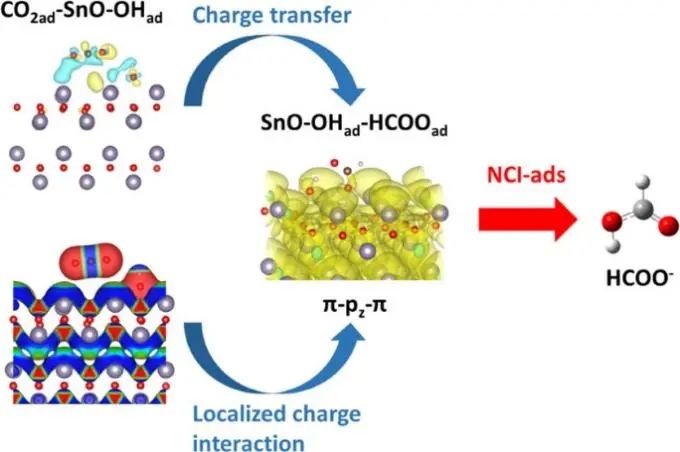 中科大穆楊/王功名ACS Catal.: 表面非共價相互作用調(diào)節(jié)CO2的電化學質(zhì)子化行為