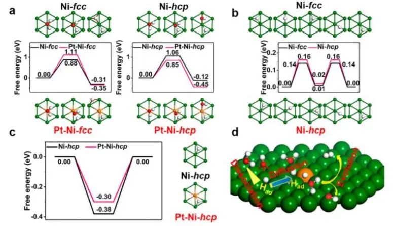 8篇催化頂刊：JACS、Nano Lett.、ACS Catal.、AM/Adv. Sci.、Small等最新成果