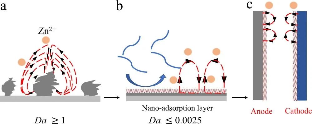 大牛Archer教授Nature子刊: 通過(guò)離子-低聚物界面實(shí)現(xiàn)快充水系鋅電池！
