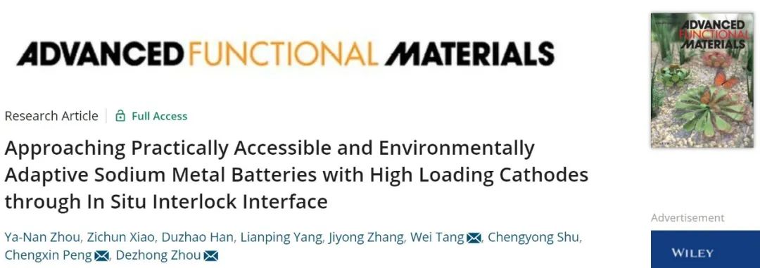 周德重/唐偉/彭成信AFM：凝膠聚合物電解質助力鈉金屬電池1000次循環！