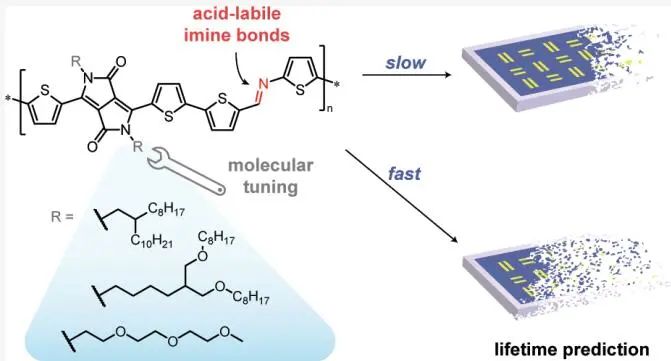 鮑哲南院士團隊，最新JACS！