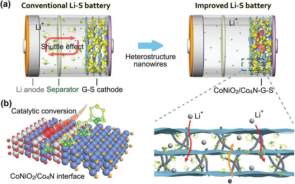 洪果/姚亞剛Adv. Sci.: CoNiO2/Co4N異質納米線增強鋰硫電池性能