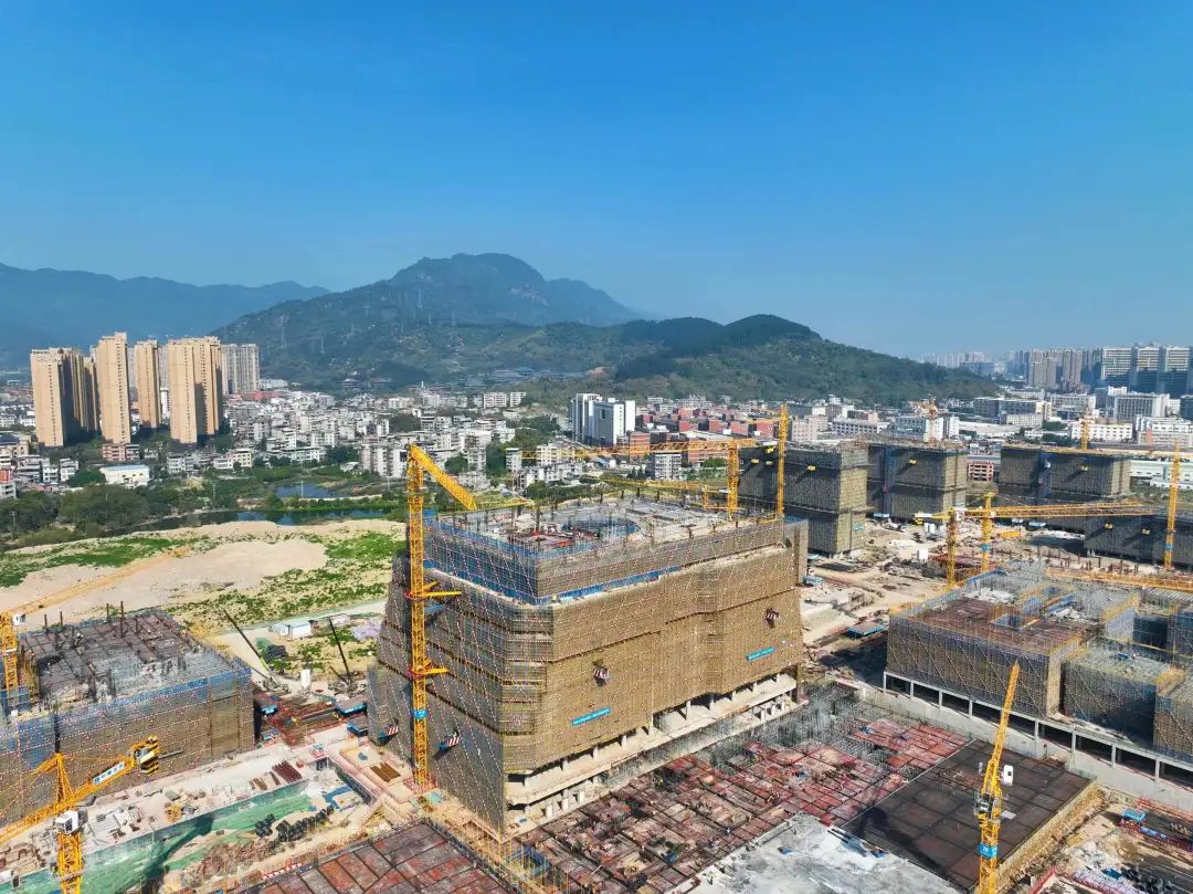 新大學放話：每位學生補貼5萬元！