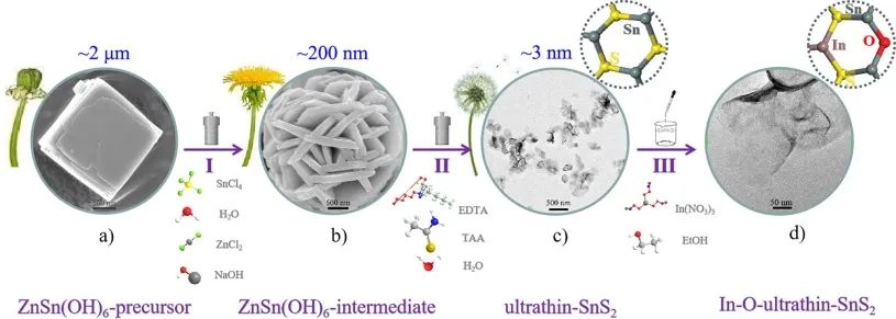 中科院劉立成Chem. Eng. J.: 調控In-O-ultrathin-SnS2納米片促進高效CO2電還原
