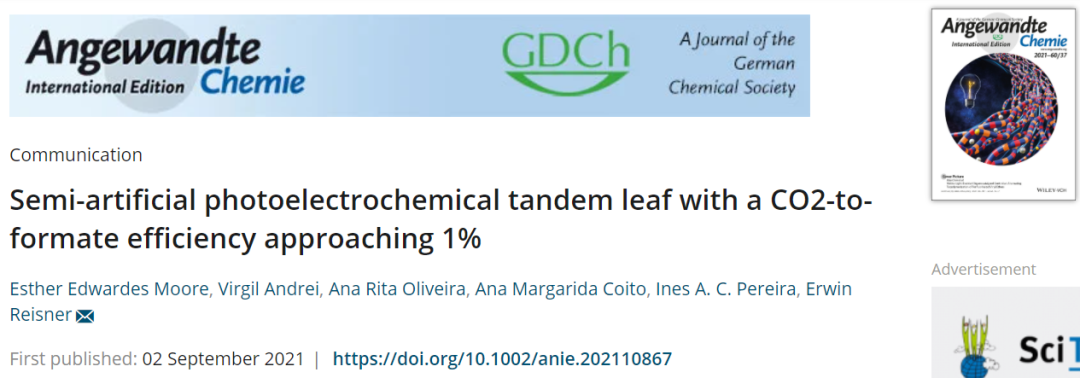 劍橋大學Angew.：新紀錄！半人工光電化學串聯葉片實現CO2轉化為甲酸鹽的效率接近1%