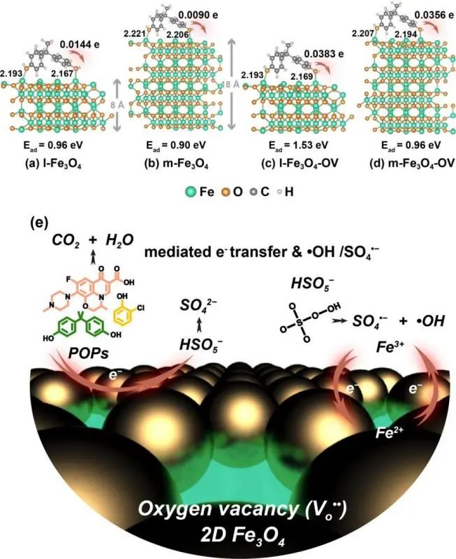 華北電力陳哲ACS Catalysis: 用于過硫酸鹽活化的富氧空位超薄二維Fe3O4納米片的受限層間生長