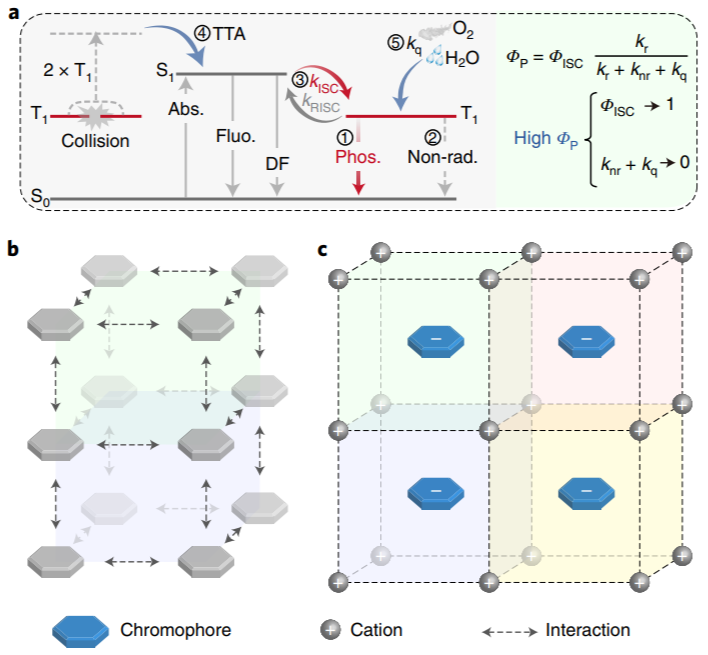 南京工業大學黃維院士Nature Materials