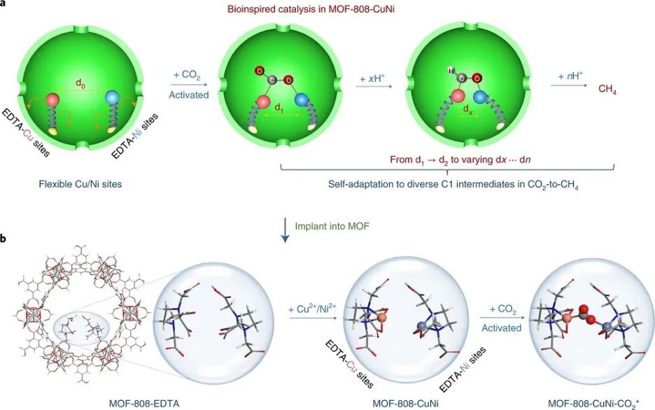 Nature Catalysis：首次報道！MOF基自適應DMSPs光催化CO2為CH4