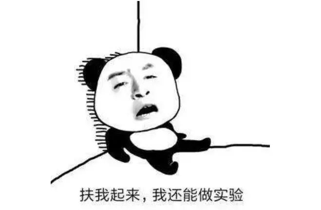知乎熱議||讀博的壓力究竟有多大？看完，你還會選擇讀博嗎？