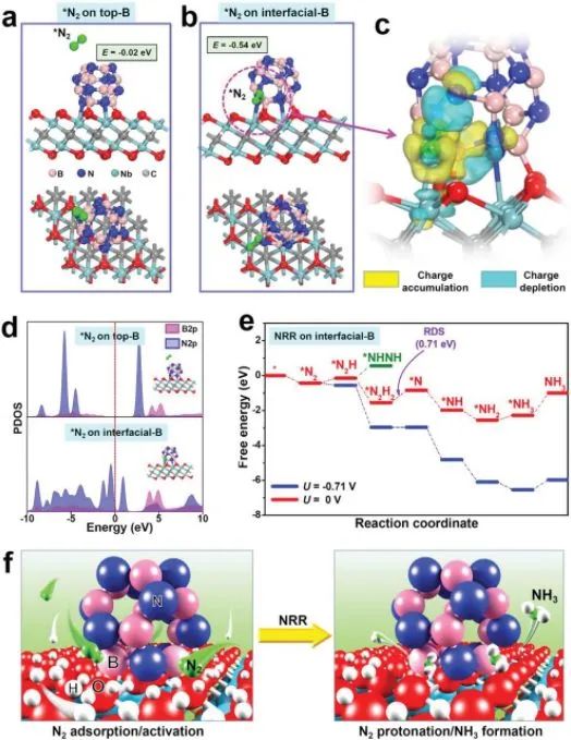 催化頂刊集錦：AFM、Appl. Catal. B.、Small、EnSM、Chem. Eng. J.等最新成果