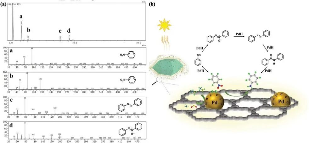 鄭大臧雙全/趙淑娜Adv. Sci.：具有可控COF殼形貌的核-殼MOF@COF雜化物助力光催化級聯反應