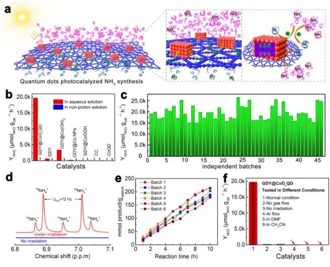 中科院李玉良/山大薛玉瑞Nano Energy: 多孔石墨炔負載CoOx量子點用于固氮反應