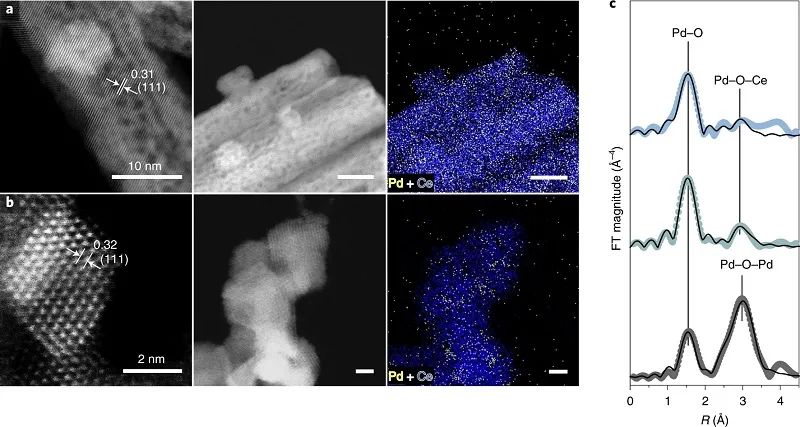 單原子催化領域，再獲一篇Nature Catalysis！