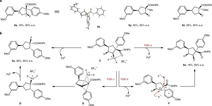 Nature Chemistry：傳統就是用來打破的！基于Pd的異向重排