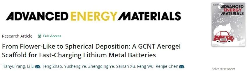 北理陳人杰/李麗AEM：石墨烯/碳納米管氣凝膠主體實現快充鋰金屬電池