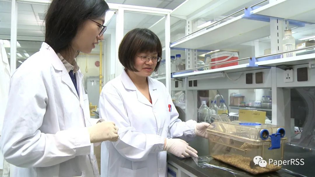 院士點贊：不唯經費不唯論文！登上Science的她，7年帶領7位博士，回答一個重要問題