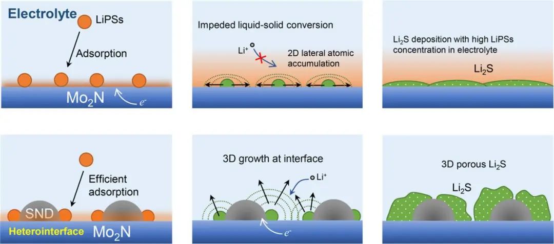 ACS Nano: 豐富異質界面助力高性能鋰硫電池的多硫化物快速轉化、可控Li2S沉積