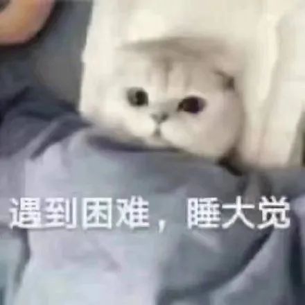 別再說我“論文灌水”了！！我也不容易啊