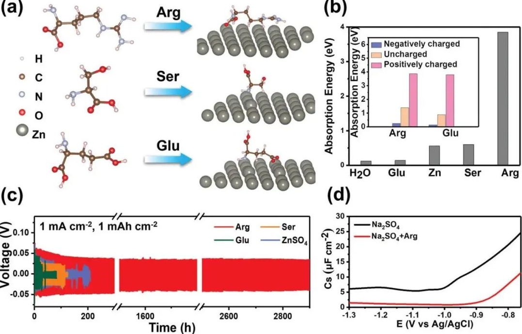 電池頂刊集錦：EES、AEM、AFM、Adv. Sci.、EnSM、Small等最新成果