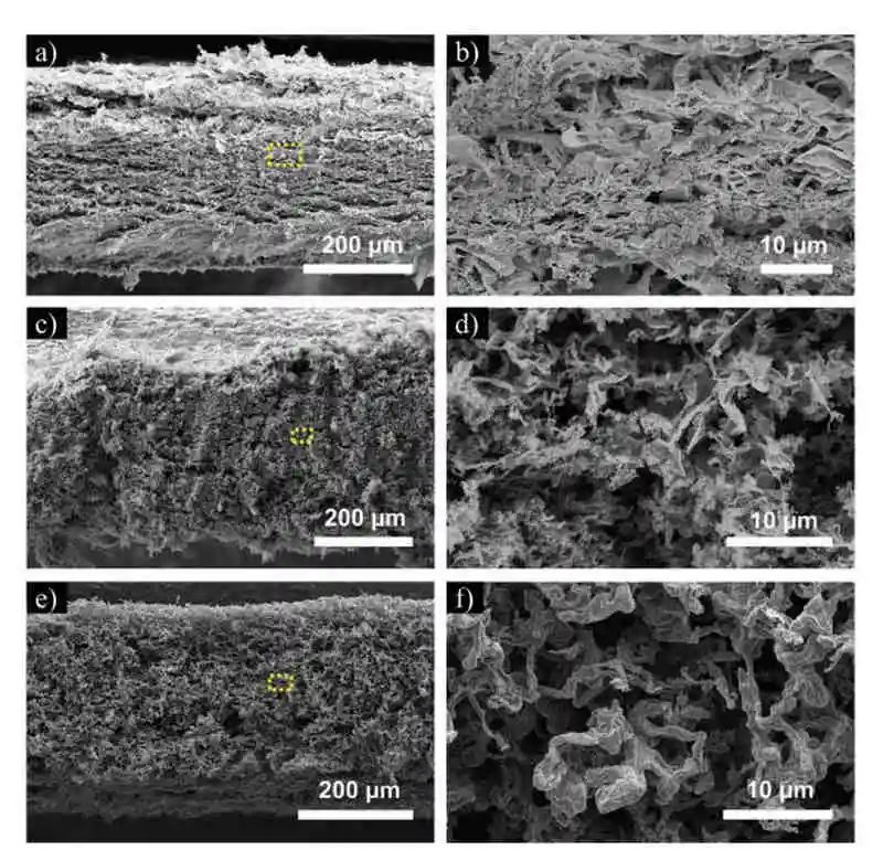 德國Dina Fattakhova-Rohlfing最新AFM：高容量，循環穩定性錫基負極