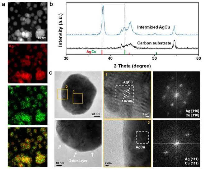 ?催化頂刊集錦：Nature子刊、Angew.、AFM、ACS Nano、Small等成果