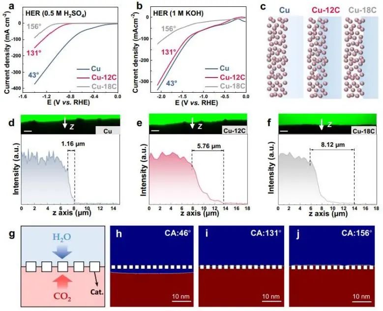 催化頂刊集錦：Nature子刊、JACS、Angew.、AFM、Nano Letters、ACS Catal.等成果