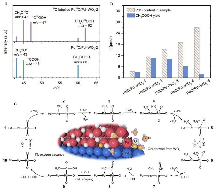 ?催化頂刊集錦：JACS、Nature子刊、EES、ACS Catal.、AFM、ACS Nano等