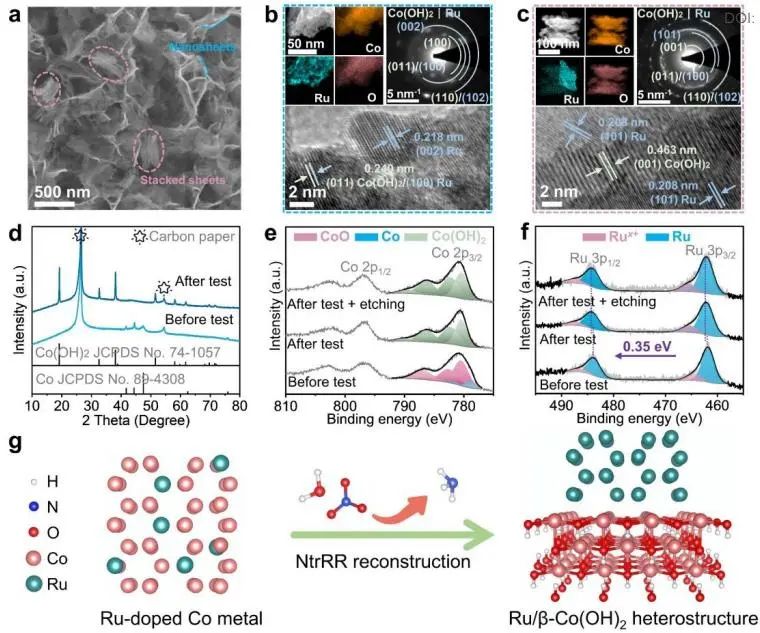催化頂刊集錦：Nature子刊、EES、AM、EnSM、Carbon Energy、Small等成果