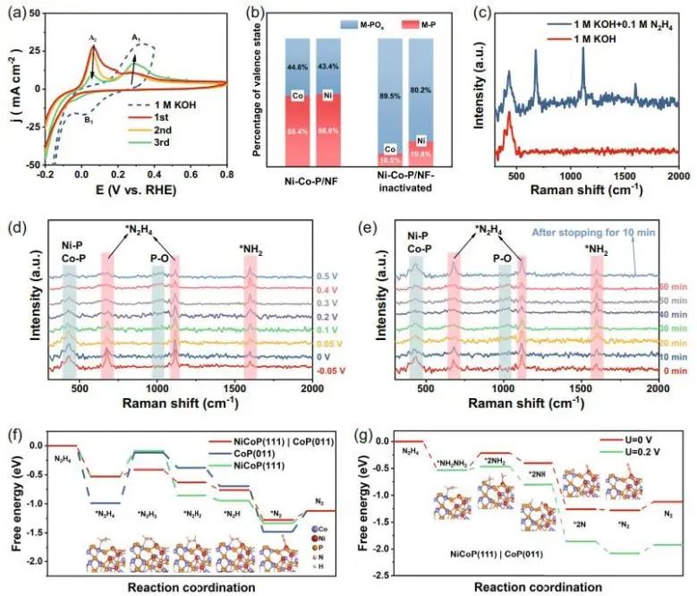催化頂刊集錦：Nature子刊、Angew.、AEM、ACS Catalysis、Small等成果