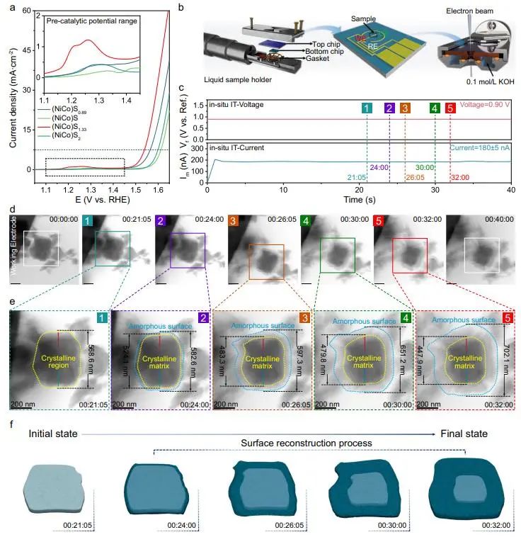 催化頂刊集錦：Nature子刊、Angew.、AEM、ACS Catalysis、Small等成果