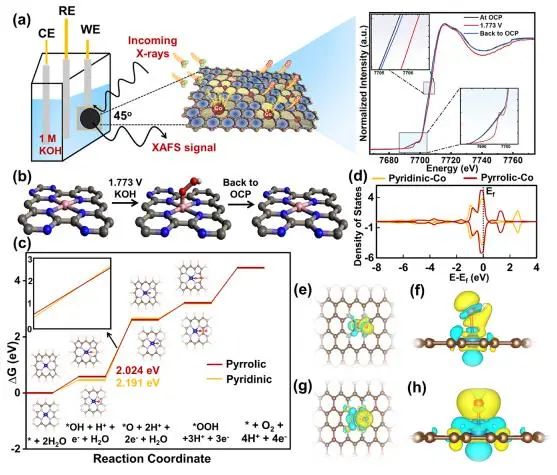 催化頂刊集錦：Nature子刊、JACS、AFM、ACS Catalysis、Nano Energy等