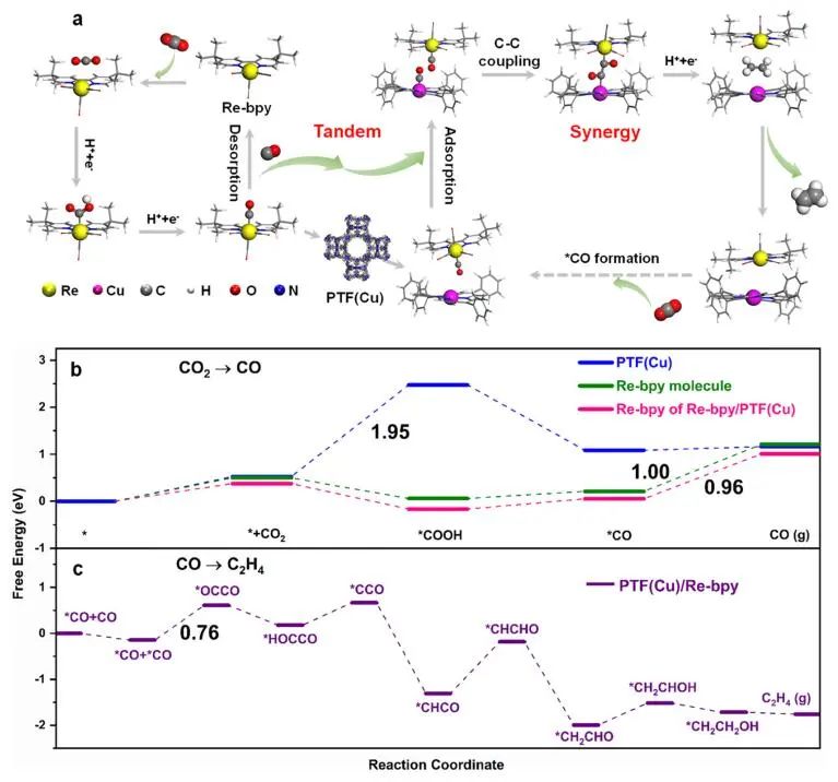 JACS：Re-bpy/PTF(Cu)協同催化CO2制備C2H4
