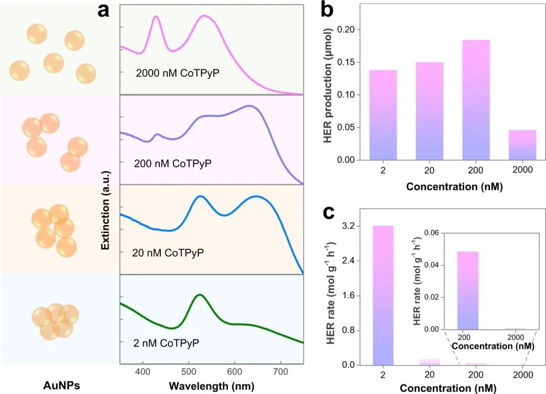 催化頂刊合集：Nature子刊、JMCA、Small、Carbon Energy、AFM、CEJ等成果！