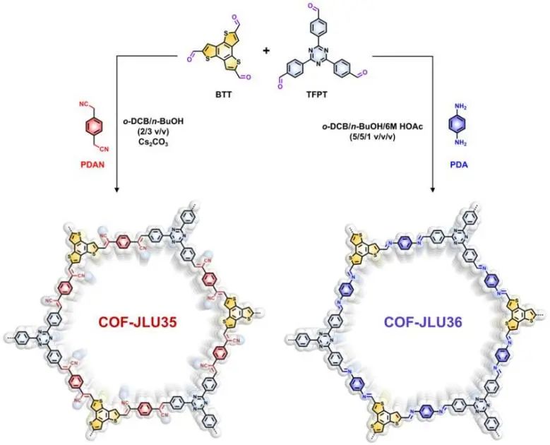 催化頂刊集錦：JACS、AEM、ACS Catalysis、ACS Nano、Small等成果