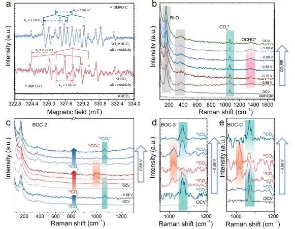 催化頂刊集錦：Nature、JACS、EES、ACS Catal.、ACS Nano、Small等成果精選！