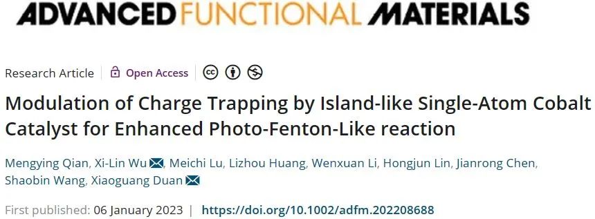 ?阿德萊德/浙師大AFM：島狀單原子鈷催化劑對電荷捕獲的調制以增強類光芬頓反應