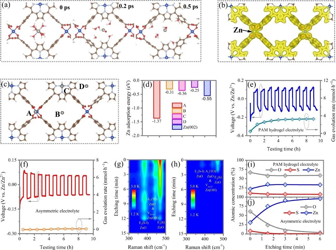 支春義教授團隊，最新Nature子刊！