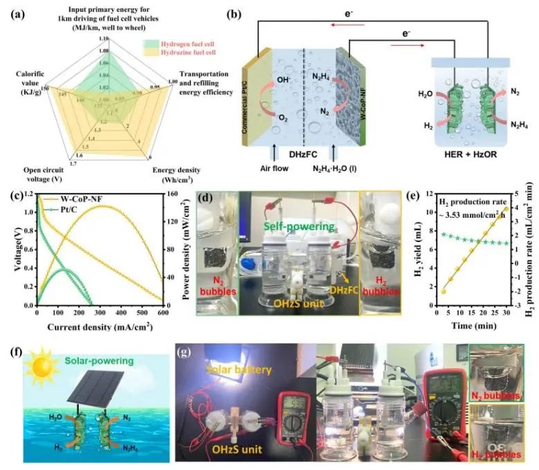 催化頂刊速遞：Nature Catalysis、EES、Nature子刊、Angew、Sci. Adv.、ACS Nano等成果