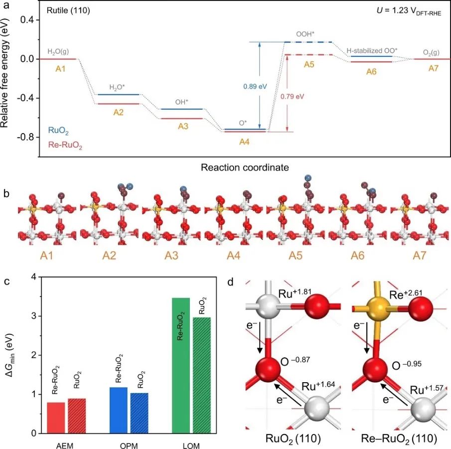 喬世璋&董俊才，最新Nature子刊！
