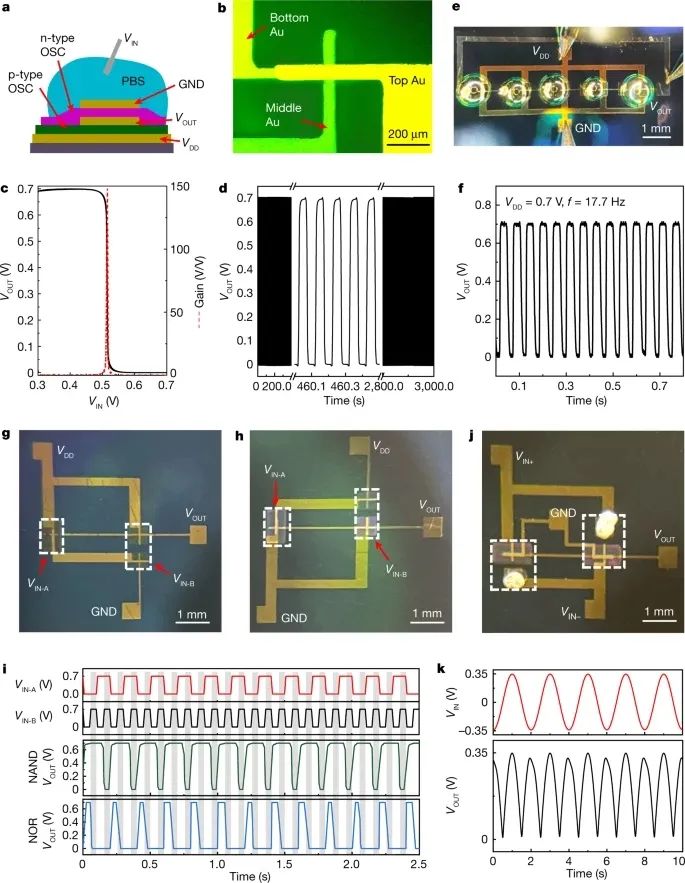 電子科技大學(xué)，2023年首篇Nature！