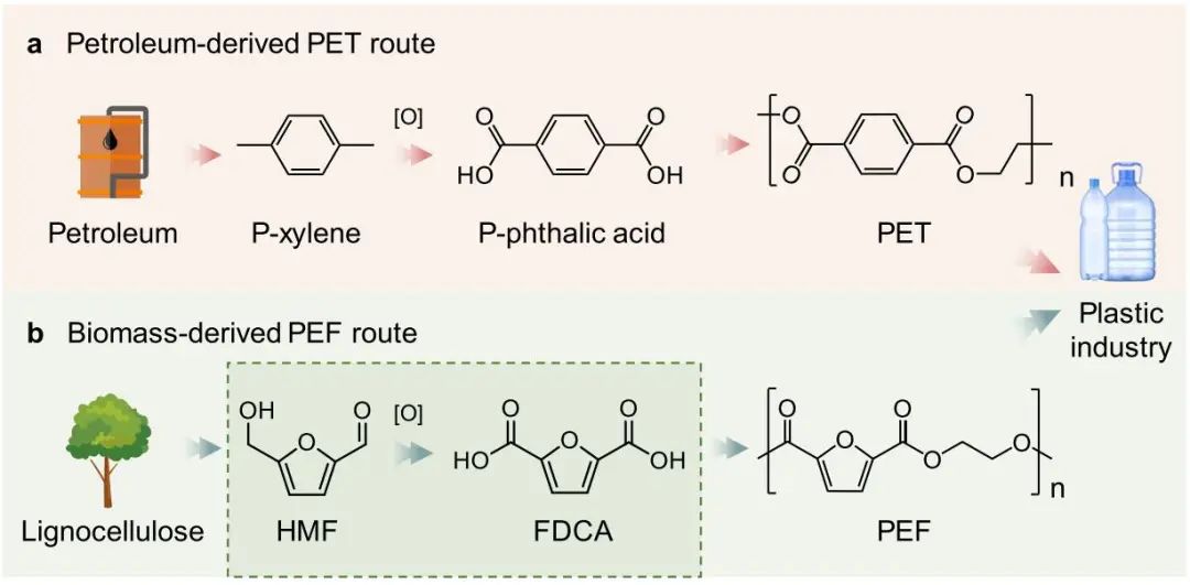 西湖大學Angew：FE和產率近100%！Ni-Cu/NF高效催化生物質轉化